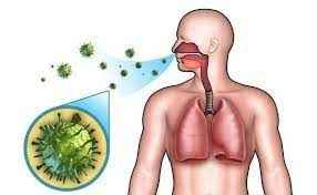 
	پاورپوینت بیماری های واگیردار
