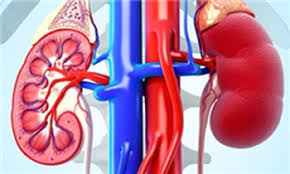 
	پاورپوینت تست هاي كليوي
