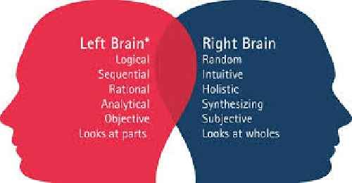 دانلود جزوه خلاصه بخش فيزيولو‍ژي كاپلان با لینک مستقیم دانلود