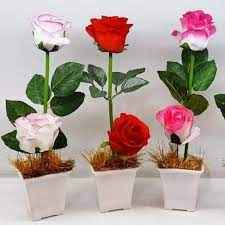 
	تحقیق پرورش و نگهداری گل رز
