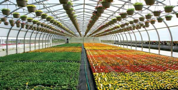     پاورپوینت کشاورزی گلخانه ای - فروشگاه فایل
