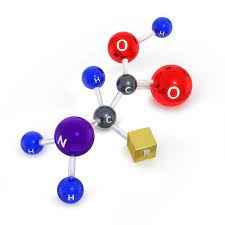 
	پاورپوینت اختلالات متابولیسم اسیدهای آمینه
