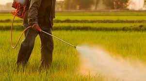 
	تحقیق اهمیت بررسی آفات
