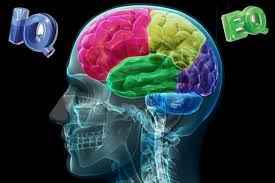 
	پاورپوینت هوش هیجانی
