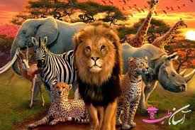 
	تحقیق جانوران جهان
