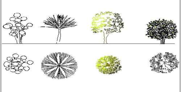 فایل اتوکد آبجکت انواع درختان زینتی