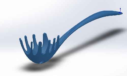 ملاقه پاستا در سالیدورک