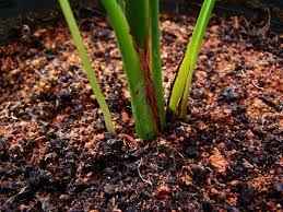 
	تحقیق فلزات سنگین در کشاورزی و محیط‌زیست جیوه (Hg)
