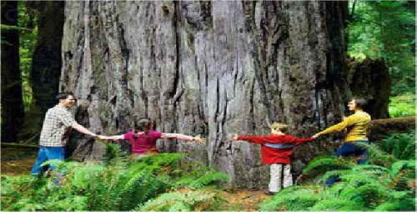 پرسشنامه تأثير مشاركت اجتماعي زنان بر رفاه خانواده‏ ها 