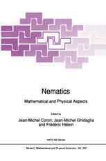 Nematics: Mathematical and Physical Aspects